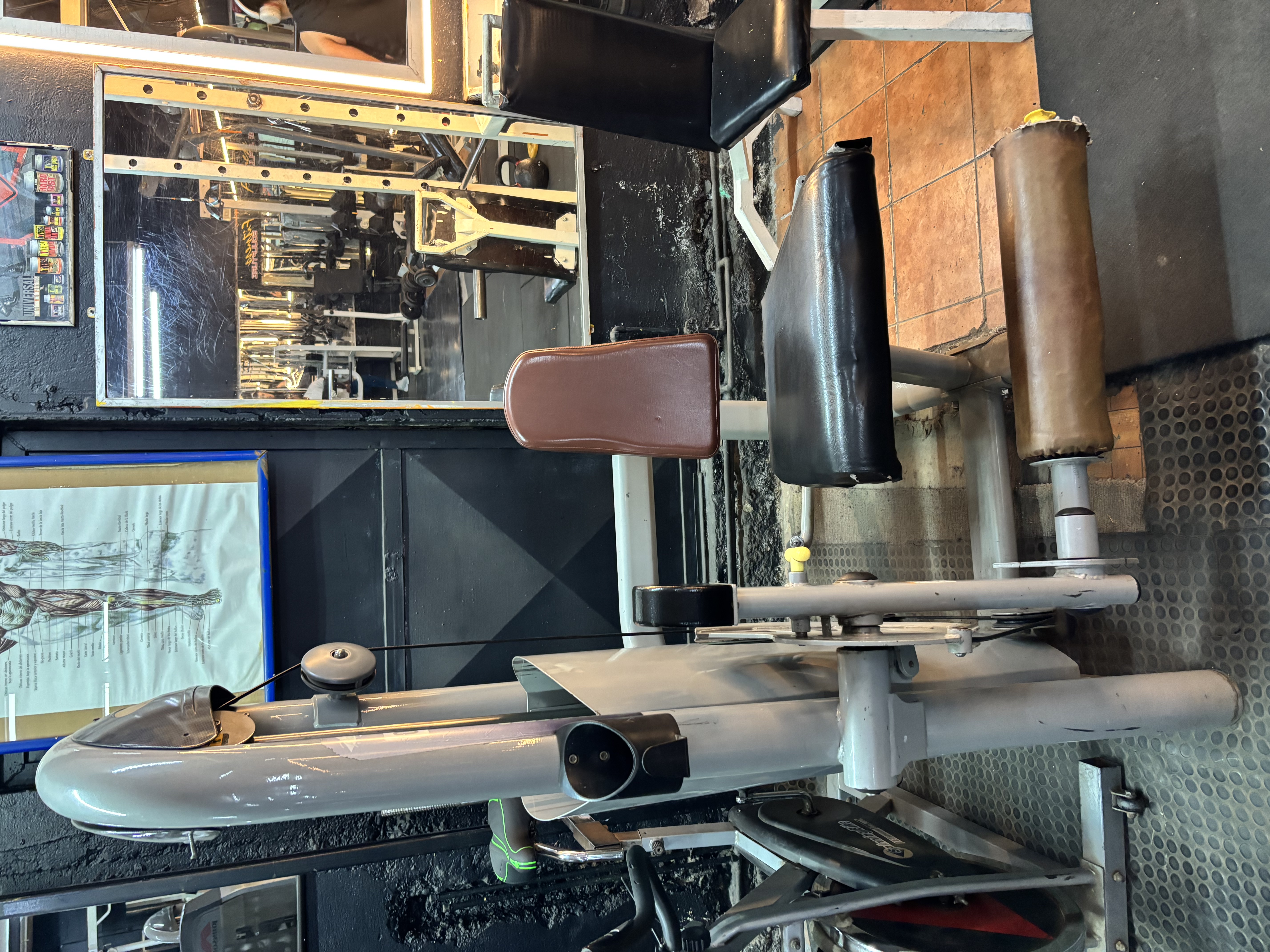 Extensión de Cuádriceps